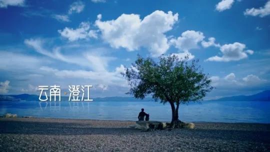 品牌云集，2020總臺中秋晚會助力行業標桿傳播